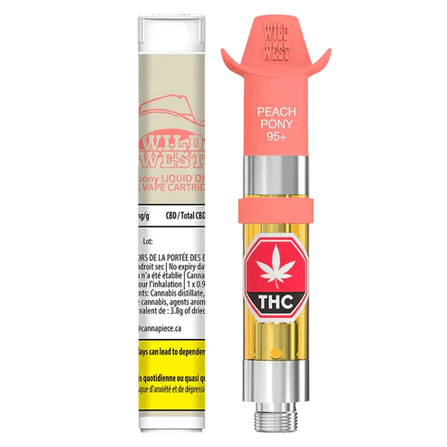 Litty Liquid Dab Pen THCA Disposable 2.1G - Wholesale UK